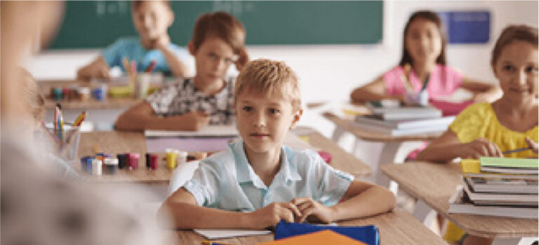 Schools & kindergartens